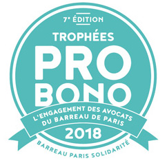 pro bono 2018