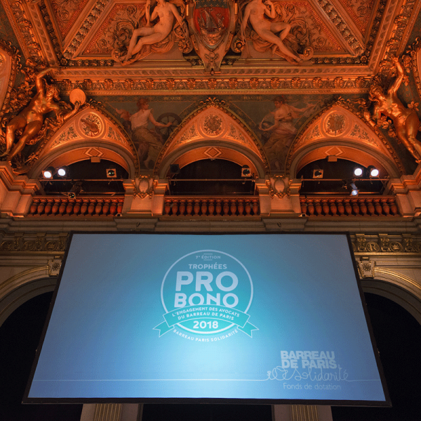 Pro Bono 2018