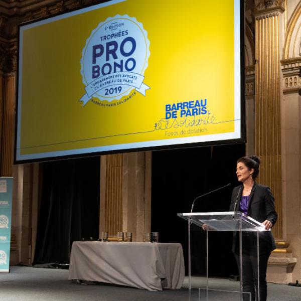 Pro Bono 2019